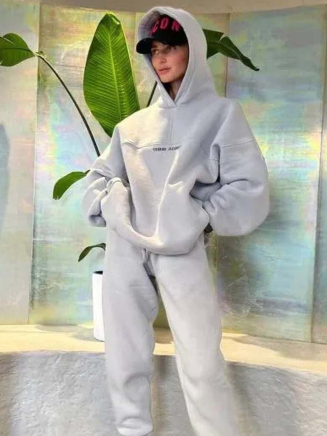 Women's Hooded Sweatshirt And Sweatpants Outfits Gray